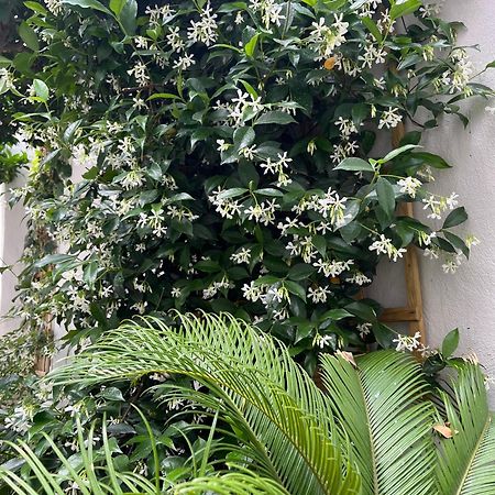 Apartamento Maria'S Jasmine Volos Exterior foto